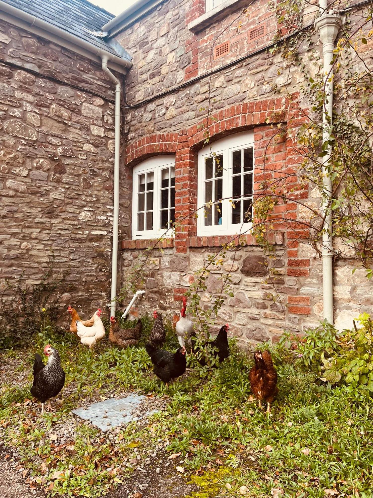 The Cottage Abergavenny Exterior foto