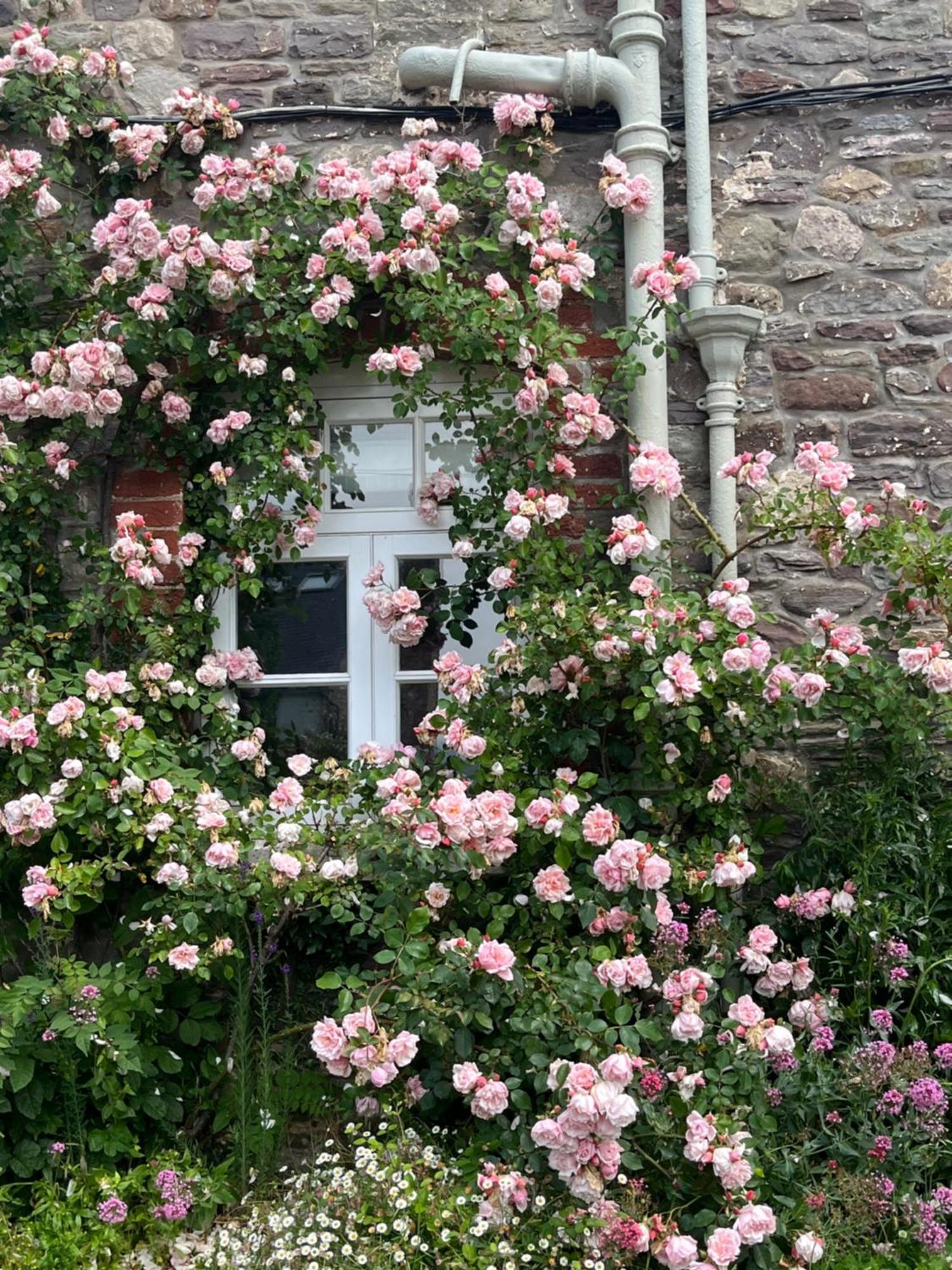The Cottage Abergavenny Exterior foto